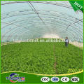 High quality attractive design single span film tunnel greenhouse